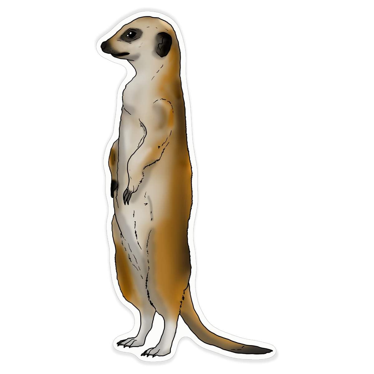 Azeeda 'Alert Meerkat' White Premium Vinyl Decal Sticker – Waterproof, Durable & Easy to Apply - Ideal for Car Bumpers, Windows, Bins and More - XL (460mm) (DW00053464)