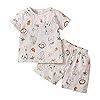 Hailouhai Peuter Baby Kid Boy Korte Set, Zomer Cartoon Dinosaurus Print Tops + Elastische Taille Shorts 2 Stks Outfit