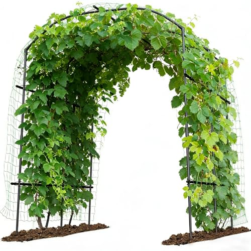 DoCred Tall Garden Arch Trellis for Climbing Plants, 87in Tall Metal Plant Support Trellis Archway for Climbing Vine Vegetable/Fruit/Flower Outdoor Yard Lawn Garden Arch Tunnel Trellis