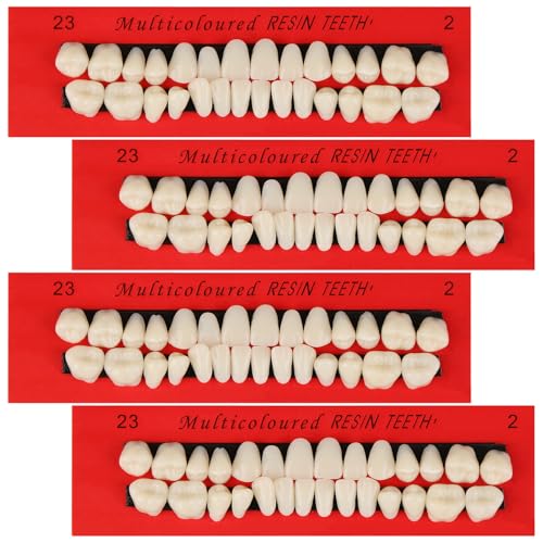 4 Sets Acrylic Resin False Teeth Creamy White Dental Denture Synthetic Polymer Fake Teeth Upper Lower Temporary Crowns for Missing Tooth Fill Gap Makeup Cosplay Party Halloween Ornament Supplies A2