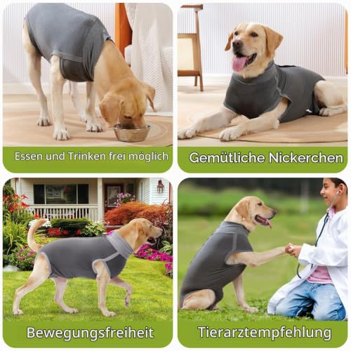 Heywean Hunde-Genesungsanzug – Anzug für Frauen und Männer zur Erholung nach Kastrationsoperationen