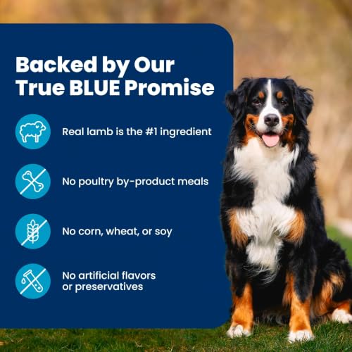 Blue Buffalo Life Protection Formula Lamb Adult Dry Dog Food, 5 lb - image 9