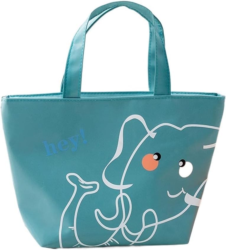 FunBlast Picnic Lunch Bags – Insulated Travel Lunch Box Carrying Bag, Reusable Lunch Box Tote Cooler Bag, Tiffin Bag for Office, Foldable Lunch Organizer Lunch Bags for Men,Women, Adults (Teal Blue)