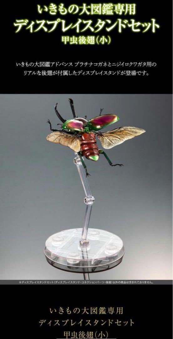 ★いきもの大図鑑【ニジイロクワガタ】4種＋後翅(小)ディスプレイ1個セット★ ☆いきもの大図鑑【ニジイロクワガタ】4種＋後翅(小)ディスプレイ1個