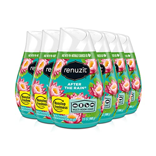 Renuzit Adjustable Air Freshener Gel After the Rain 7 Ounces (6 Count)