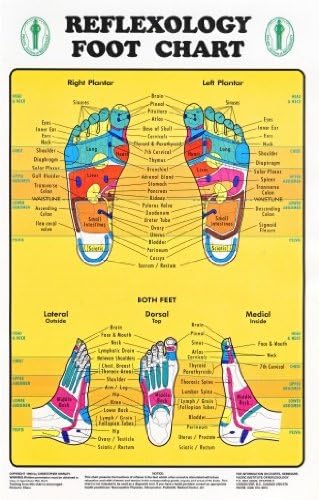 Reflexology Foot Chart - Reflexology Zones Marked. 1 Laminated Chart 8" x 11"