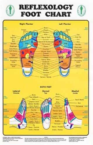 Reflexology Foot Chart - Reflexology Zones Marked. 1 Laminated Chart 8