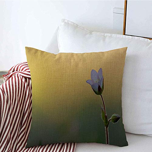 Decorative Throw Pillow Covers Lined Spring Leaf Macro Small Color Blossom Beautiful Flower On Blurred Plant Sunny Meadow Nature Beauty Linen Square Pillow Covers for Safa Couch 16x16 Inch
