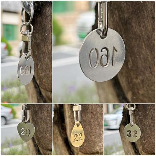 NanTun 304 Stainless Steel Key Tags with Ring 10 pcs, 25mm Hollowed Number ID Tags Key Chain, Numbered Key Rings - 1 to 10