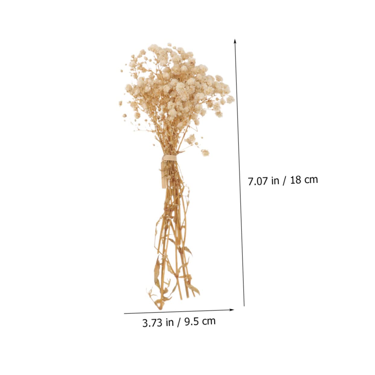 PRETYZOOM 2pièces Bouquets De Fleurs Séchées De Gypsophile De Décorations Naturelles pour Arrangements Floraux pour Décoration De Table Et Intérieur Bouquets De Mariage Et Bricolage