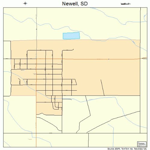 Large Street & Road Map of Newell, South Dakota SD Printed poster
