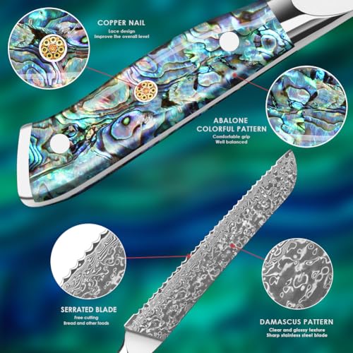 Home Safety Damascus Bread Knife, Serrated Knife 20cm Made of VG-10 Damascus Steel, Professional Kitchen Knifes with Ergonomic Abalone Shell Handle, for Home Restaurant, Gift Box - Image 7