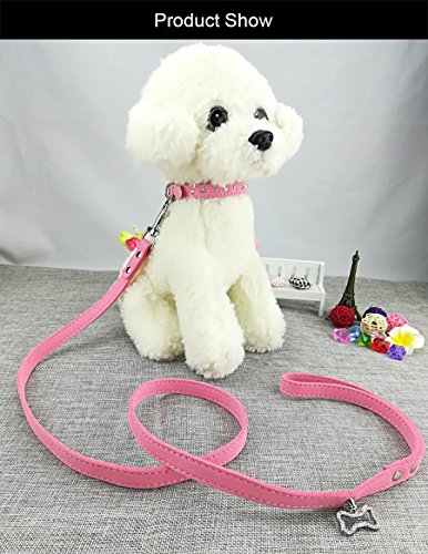 Newtensina Netter Diamante Welpen Halsband und Leine Set Bling Wildleder Halsband mit Leine für kleine Hunde Katzen - Pink - XS