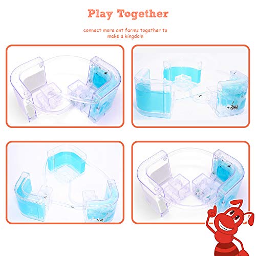 NAVADEAL Ant Farm Castle 2.0 with Connecting Tube, Ant Habitat Science Learning Kit, Best STEM 2021 Educational Kids Toy, Study Insect Behavior at Home & School, Plant Based Blue Gel 3D Maze Ecosystem - Image 4