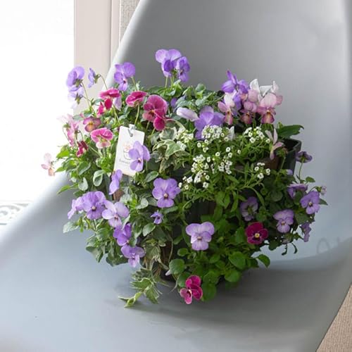 rĨnMOoXPbg Ԃ 񂹐A [~bNXx[] MTCY Vv |  t[Mtg a v[g     Vzj A  K[fjO t[ O Mtg A   蕨 Zbg 