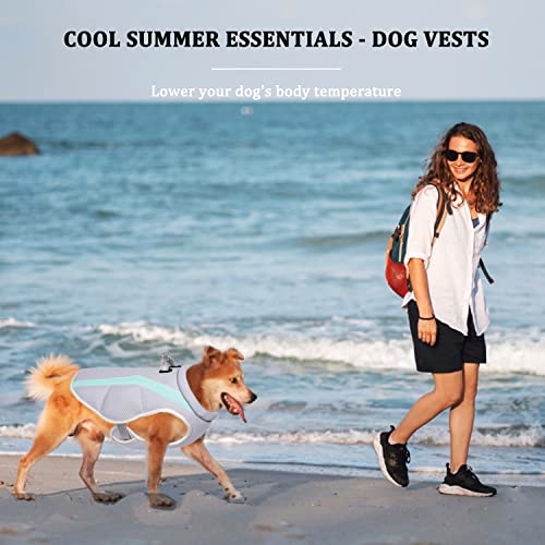 Dog Cooling Vest Harness Breathable Mesh Dog Cooler Jacket Cool and Comfortable Dog Coat Adjustable With Reflective Strip for Small/Medium/Large Dogs Outdoor Running,Walking,Mountain Climbing - Image 2