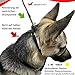 Premium Geschirr Hund - Erziehungshalsband liebevoll, Antizug- / no Pull Geschirr garantiert, mindert Aggression, Antibellhalsband, Kopfhalfter, Hundehalfter: kleine bis große Hunde, schwarz