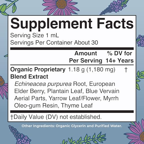 Image of MARYRUTH'S Lymphatic Support Liquid Drops USDA Organic | Herbal Blend with Echinacea & Elderberry | Blue Vervain | Vegan | Alcohol-Free | Non-GMO | 30 Servings (Pack of 2)
