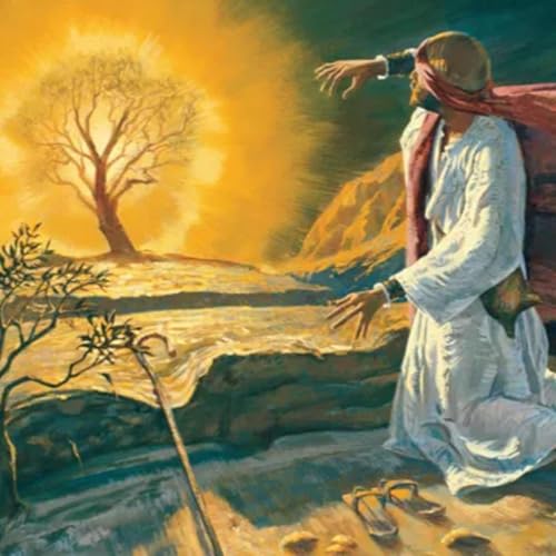 Is It Still Wonderful to You?