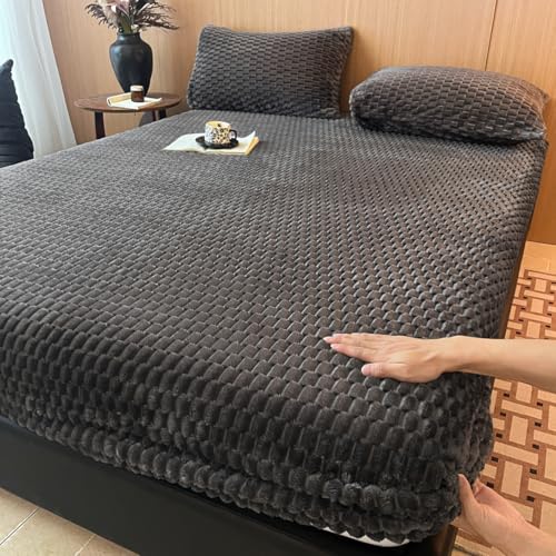 {bNXV[c ~p ChLO xbhV[c g }bgXJo[ RR 􂦂 xbhJo[ ÓdCh~ EȒP ۉ R hLH ӂӂ ɂ₳ H ~zcJo[ 200×220cm