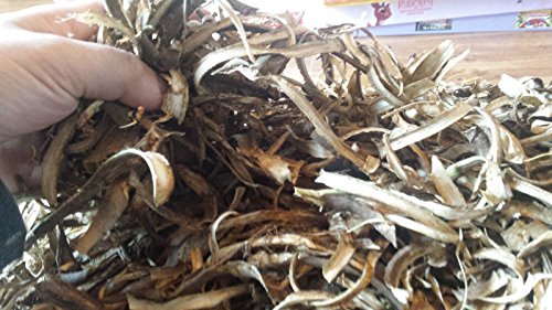 1 ounce Dried Devil's Club Root Bark - High Potency, Only Bark!