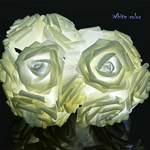 Preisvergleich Produktbild Groten Lichterkette 20er LED Rosen Blumen Blüten Deko Lichter Weihnachten Hochzeit