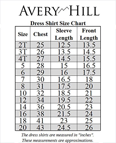 Avery Hill Boys Long Sleeve Dress Shirt with Windsor Tie4