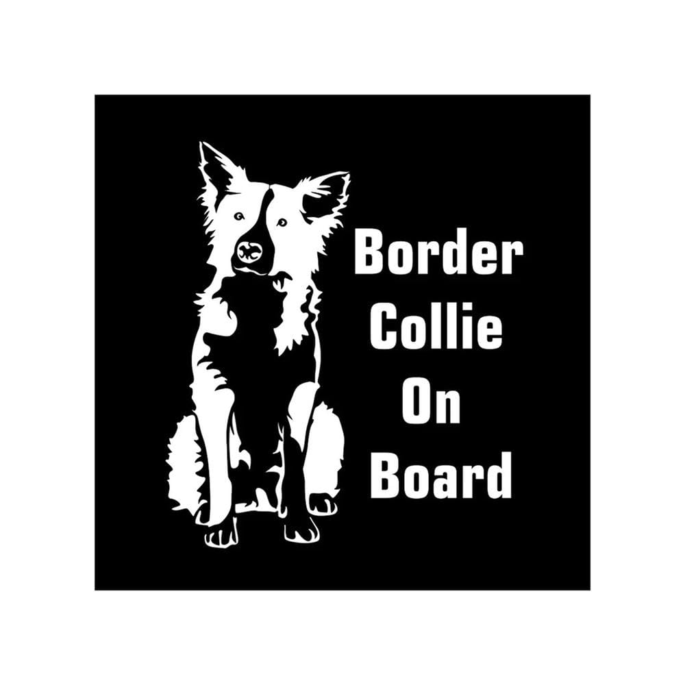 Border Collie On Board Car Sticker Automobiles Motorcycles Exterior Accessories 17cm*15cm(White)