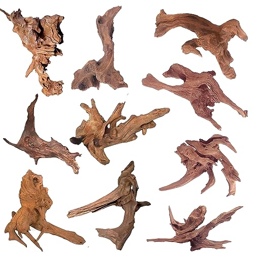 Image of WDEFUN Natural Driftwood for Aquarium Decor, 10-Piece 2''-5'' Small Driftwood for Decorations on Fish Tank, Reptiles Bearded Dragon Accessories or Air Plants