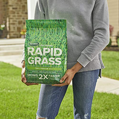 Grass Seed Blends For Overseeding Existing Turf