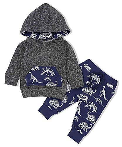 2PCs Toddler Infant Baby Boys Dinosaur Long Sleeve Hoodie Tops Sweatsuit Pants Winter Xmas Outfit Set (Gray, 0-6 Months)