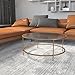 Flash Furniture Astoria Collection Round Coffee Table - Modern Clear Glass Coffee Table - Brushed Gold Frame