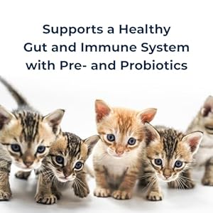 Pet-Ag KMR Kitten Milk Replacer Powder – 12 oz, Pack of 2 – Powdered Kitten Formula with Prebiotics, Probiotics & Vitamins for Kittens Newborn to Six Weeks Old – Easy to Digest