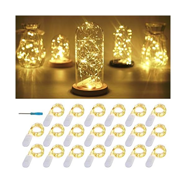 FELISHINE Lichterkette mit 20 LEDs, batteriebetrieben, silberfarbener Kupferdraht, Sternenlichterkette für Heimwerker…