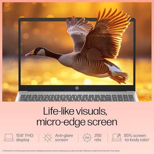 Image of Hp Laptop 15, 13th Gen Intel Core i5-1334U, 15.6-inch (39.6 cm), FHD, 16GB DDR4, 512GB SSD, Intel Iris Xe Graphics, FHD Camera w /Privacy Shutter (Win 11, MSO 2021, Silver, 1.59 kg) FD0492TU