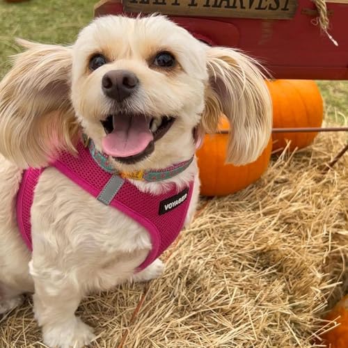 Voyager Step-In Air Hundegeschirr by Best Pet Supplies - All Weather Mesh Step in Vest Harness für kleine und mittlere Hunde, Fuchsia, size S - Brust 37-40 cm