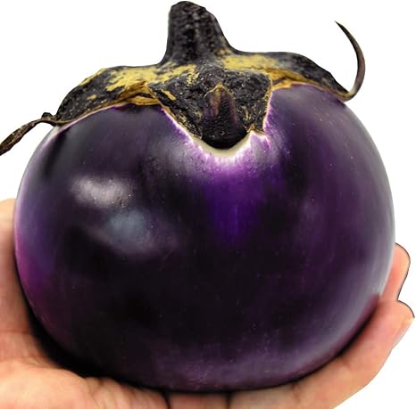 Amazon 国華園 接木野菜苗 丸ナス 接木f1イタリア大丸ナス 4株 21年春商品 Diy 工具 ガーデン Amazon 国華園 接木野菜苗 丸ナス 接木f1イタリア大丸ナス 4株 21年春商品 Diy 工具 ガーデン