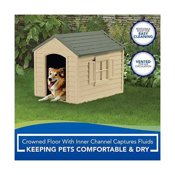 Brown Dog House with Removable Roof