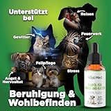 Vital-Med - Extra Starkes und hochdosiertes Hanföl für Hunde & Katzen - 30ML (750 Tropfen) - Premium Vital Hanfsamenöl - 100% Natur - Hanftropfen mit Omega 3-6-9 (Bacon)