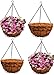 Ashman 14 Inch Metal Hanging Planter Basket with Coco Coir Liner Round Wire Plant Holder Chain Porch Decor Flower Pots Hanger Garden Decoration Indoor Outdoor Watering Hanging Baskets (4)