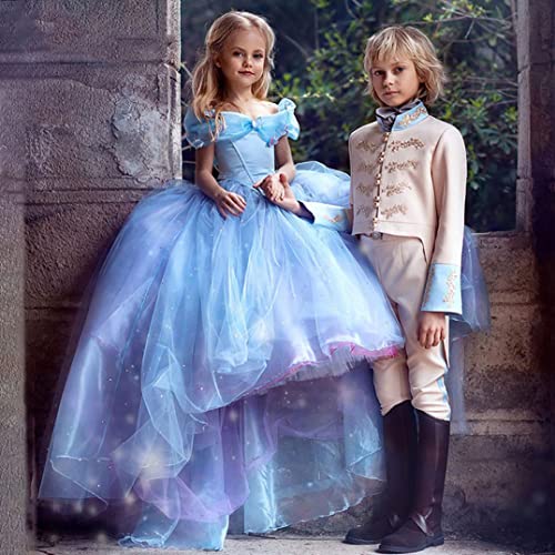 Girls Cinderella Princess Pageant Ball Gowns Kids Tulle Flower Girls Dresses2