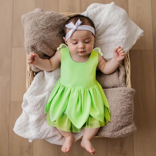 Toddler Girls Fairy Dress Layered Mesh Tulle Princess Dress with Butterfly Wings Birthday Party Photo Shoot Clothes4