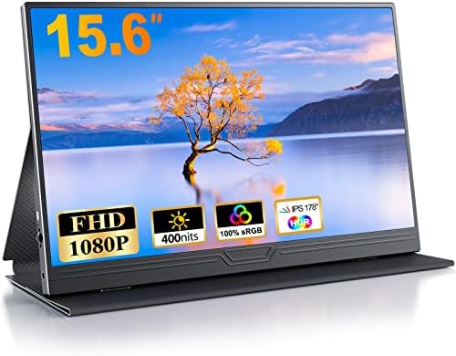 WINTEN WT-173SF-BK モバイルモニター 17.3インチ