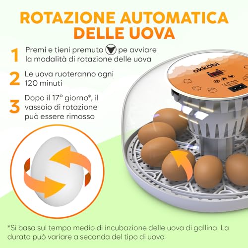 Okkobi M12 - Incubatrice per uova automatica con Girauova Automatico e Controllo Umidità - Incubatrice uova gallina - 12/24 uova, vista a 360°, facile da usare e pulire - Bianco e arancione - immagine 6