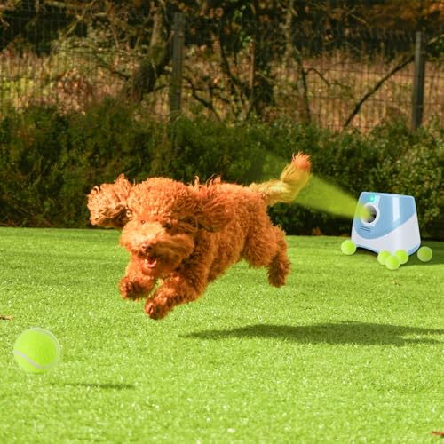 Orifesio Ballwurfmaschine für Hunde, Ballmaschine Hund mit 6 Tennisbälle, Interaktives Hundespielzeug Elektrisch für Kleine Hunde, Hund Tennis Ballmaschine für Innen und Außen