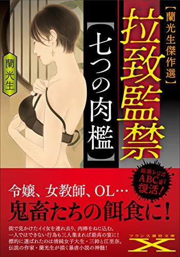 蘭光生　フランス書院文庫　11冊 51woCXASQFL.jpg
