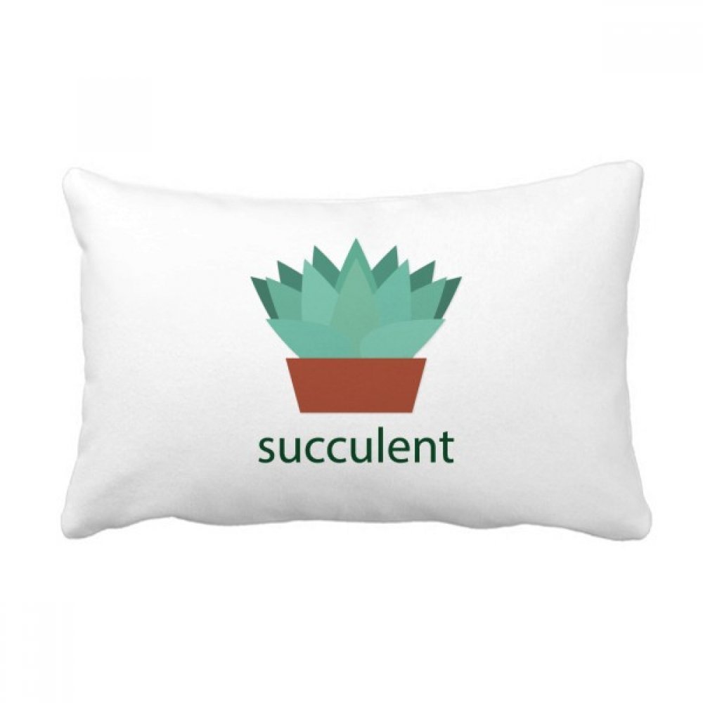 Oreiller lombaire cactus pour une ambiance salon nature et un canapé cosy