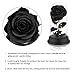 Deluxsa Forever Preserved Black Rose Birthday Gifts for Women,Eternal Flower Gifts for Mom,Wife,Grandma,Light Up Rose Flowers in A Dome,Black Flower Rose Presents for Birthday,Anniversary,Valentines