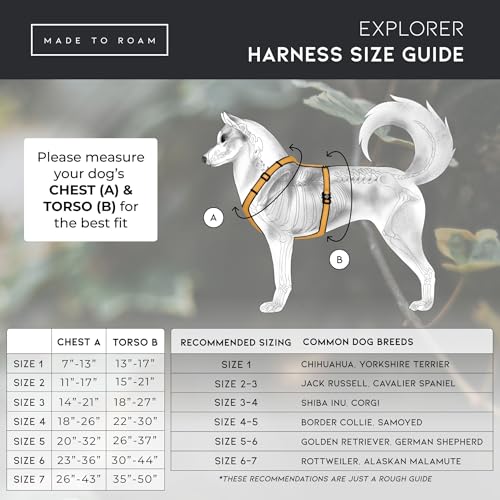 Harnais pour chien en forme de Y premium en nylon durable et cuir - 7