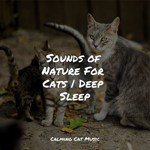 Curated visual reference: Calming Nature Sounds For Cats Reference: Play Sounds Of Nature For Cats Deep Sleep By Cat